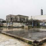 Sui muri che delimitano quest'area resistono a fatica dei disegni che richiamano le onde del mare, mentre qua e l� scorgiamo i supporti in ferro di quelle che potevano essere delle coperture per ripararsi dal sole
